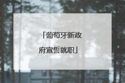 葡萄牙新政府宣誓就职