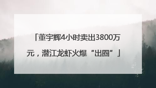 董宇辉4小时卖出3800万元，潜江龙虾火爆“出圈”