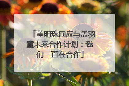 董明珠回应与孟羽童未来合作计划：我们一直在合作