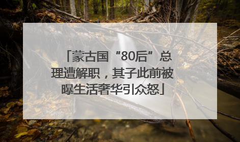 蒙古国“80后”总理遭解职，其子此前被曝生活奢华引众怒
