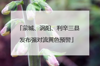 蒙城、涡阳、利辛三县发布强对流黄色预警