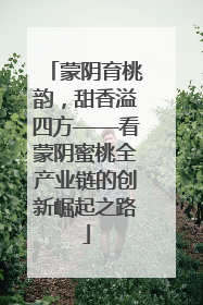 蒙阴育桃韵，甜香溢四方——看蒙阴蜜桃全产业链的创新崛起之路
