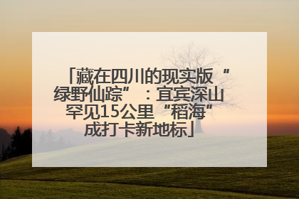 藏在四川的现实版“绿野仙踪”：宜宾深山罕见15公里“稻海”成打卡新地标