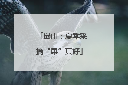 蜀山：夏季采摘“果”真好