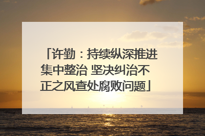 许勤：持续纵深推进集中整治 坚决纠治不正之风查处腐败问题
