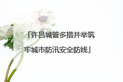 许昌城管多措并举筑牢城市防汛安全防线