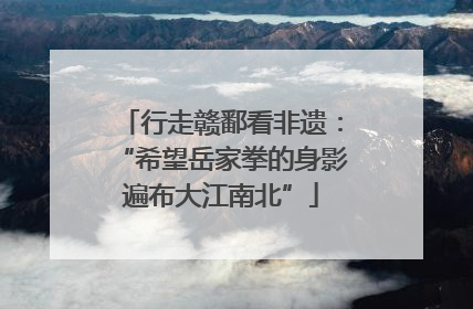 行走赣鄱看非遗：“希望岳家拳的身影遍布大江南北”