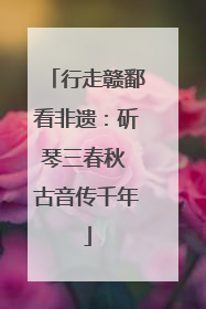 行走赣鄱看非遗：斫琴三春秋 古音传千年