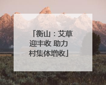 衡山：艾草迎丰收 助力村集体增收