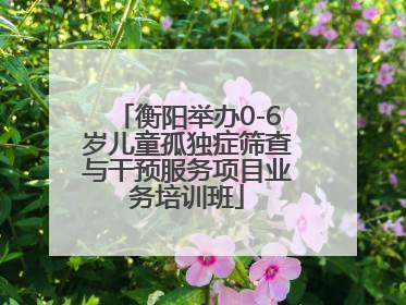 衡阳举办0-6岁儿童孤独症筛查与干预服务项目业务培训班