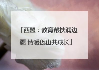 西盟：教育帮扶润边疆 情暖佤山共成长