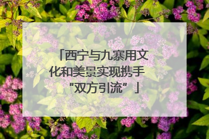西宁与九寨用文化和美景实现携手“双方引流”