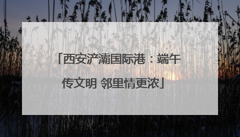 西安浐灞国际港：端午传文明 邻里情更浓