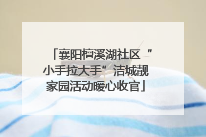 襄阳檀溪湖社区“小手拉大手”洁城靓家园活动暖心收官