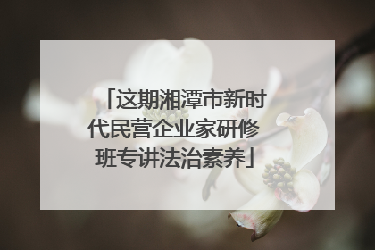 这期湘潭市新时代民营企业家研修班专讲法治素养