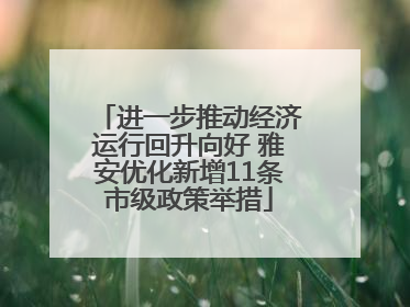进一步推动经济运行回升向好 雅安优化新增11条市级政策举措