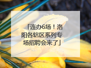 连办6场！洛阳各辖区系列专场招聘会来了
