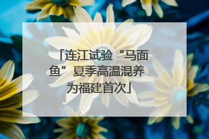 连江试验“马面鱼”夏季高温混养 为福建首次
