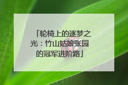 轮椅上的逐梦之光：竹山姑娘张园的冠军进阶路