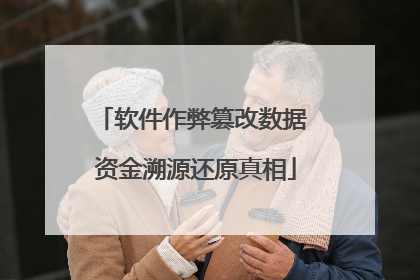 软件作弊篡改数据 资金溯源还原真相