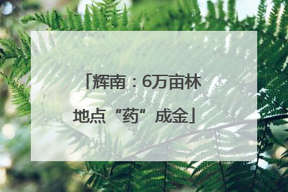 辉南：6万亩林地点“药”成金