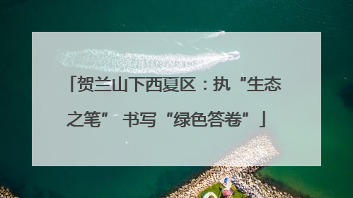 贺兰山下西夏区：执“生态之笔” 书写“绿色答卷”