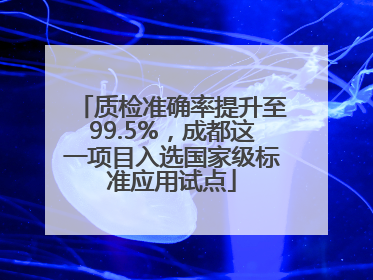 质检准确率提升至99.5%，成都这一项目入选国家级标准应用试点