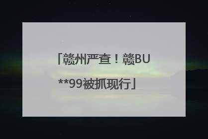 赣州严查！赣BU**99被抓现行