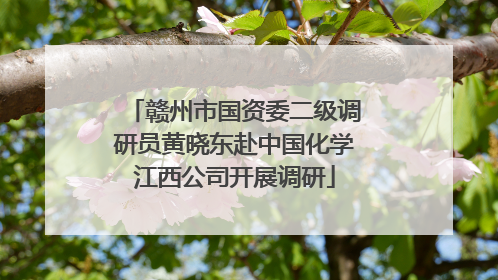 赣州市国资委二级调研员黄晓东赴中国化学江西公司开展调研