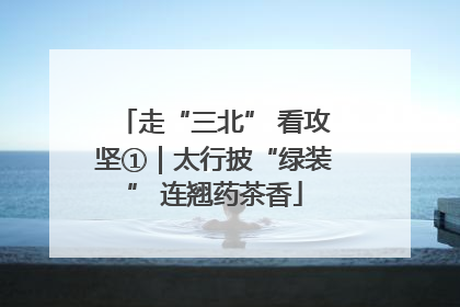 走“三北” 看攻坚①｜太行披“绿装” 连翘药茶香