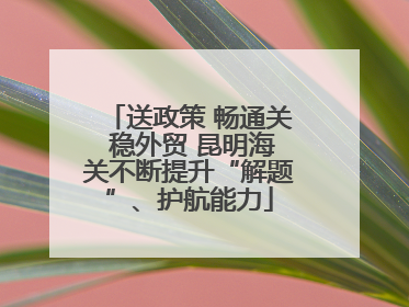 送政策 畅通关 稳外贸 昆明海关不断提升“解题”、护航能力