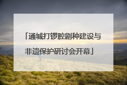 通城打锣腔剧种建设与非遗保护研讨会开幕