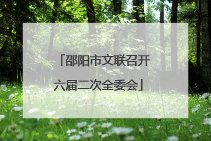 邵阳市文联召开六届二次全委会
