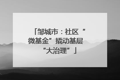邹城市：社区“微基金”撬动基层“大治理”