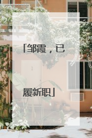 邹霞，已履新职