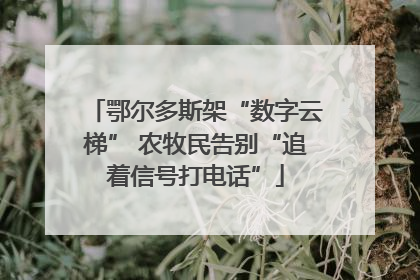 鄂尔多斯架“数字云梯” 农牧民告别“追着信号打电话”
