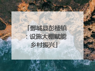 鄄城县彭楼镇：设施大棚赋能乡村振兴