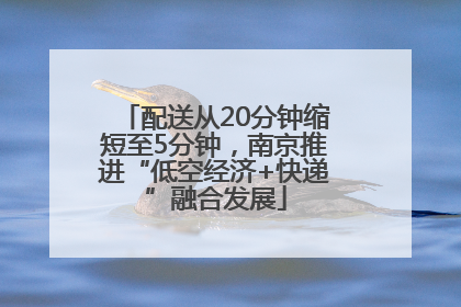 配送从20分钟缩短至5分钟，南京推进“低空经济+快递”融合发展