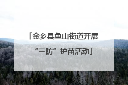 金乡县鱼山街道开展“三防”护苗活动