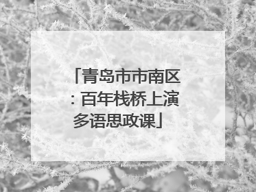 青岛市市南区：百年栈桥上演多语思政课
