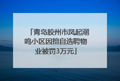 青岛胶州市凤起潮鸣小区因擅自选聘物业被罚3万元