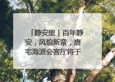 静安里｜百年静安，风貌新章，唐宅海派会客厅将于6月21日揭幕