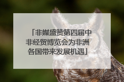 非媒盛赞第四届中非经贸博览会为非洲各国带来发展机遇