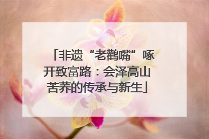 非遗“老鹳嘴”啄开致富路：会泽高山苦荞的传承与新生