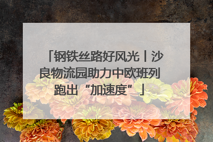 钢铁丝路好风光丨沙良物流园助力中欧班列跑出“加速度”
