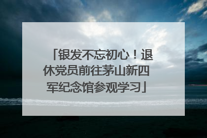 银发不忘初心！退休党员前往茅山新四军纪念馆参观学习