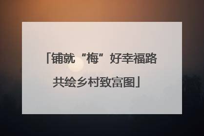 铺就“梅”好幸福路 共绘乡村致富图
