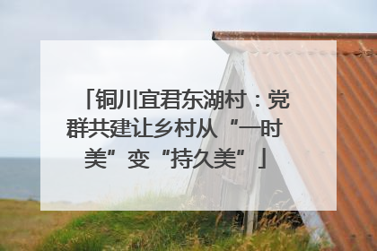 铜川宜君东湖村：党群共建让乡村从“一时美”变“持久美”