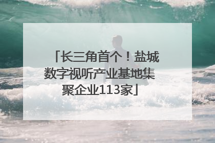 长三角首个！盐城数字视听产业基地集聚企业113家