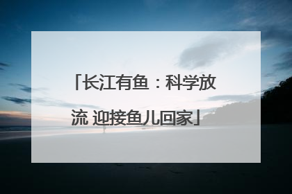 长江有鱼：科学放流 迎接鱼儿回家